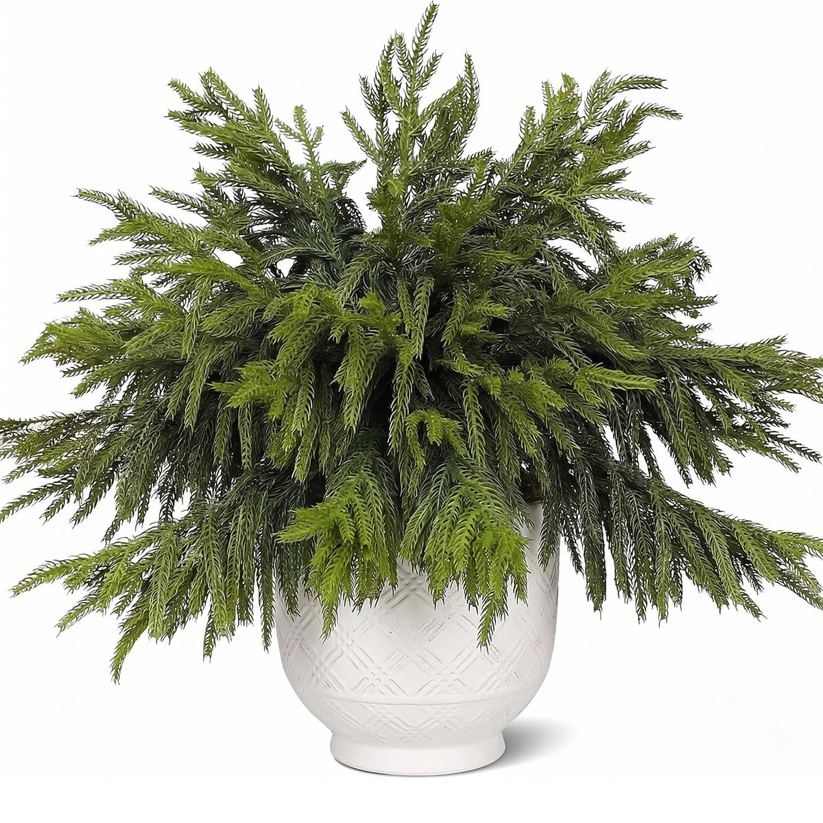 CCPanda 20 Pcs Christmas Artificial Norfolk Pine Branches 18" Real Touch