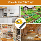 3pc Bucket Mouse Trap - Mouse Traps Indoor for Home - ABS Material