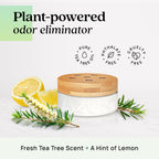 Azuna Home Odor Eliminator for Strong Odor | 2 Room Kit | Natural Scent