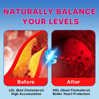 Zetelixia Cholesterol Lowering Supplements Gummies, Cholesterol Gummies with Plant Sterols & Stanols, Red Yeast Rice, Lower Cholesterol Naturally – Vegan, Non-GMO, Mixed Berry Flavor, 90Ct