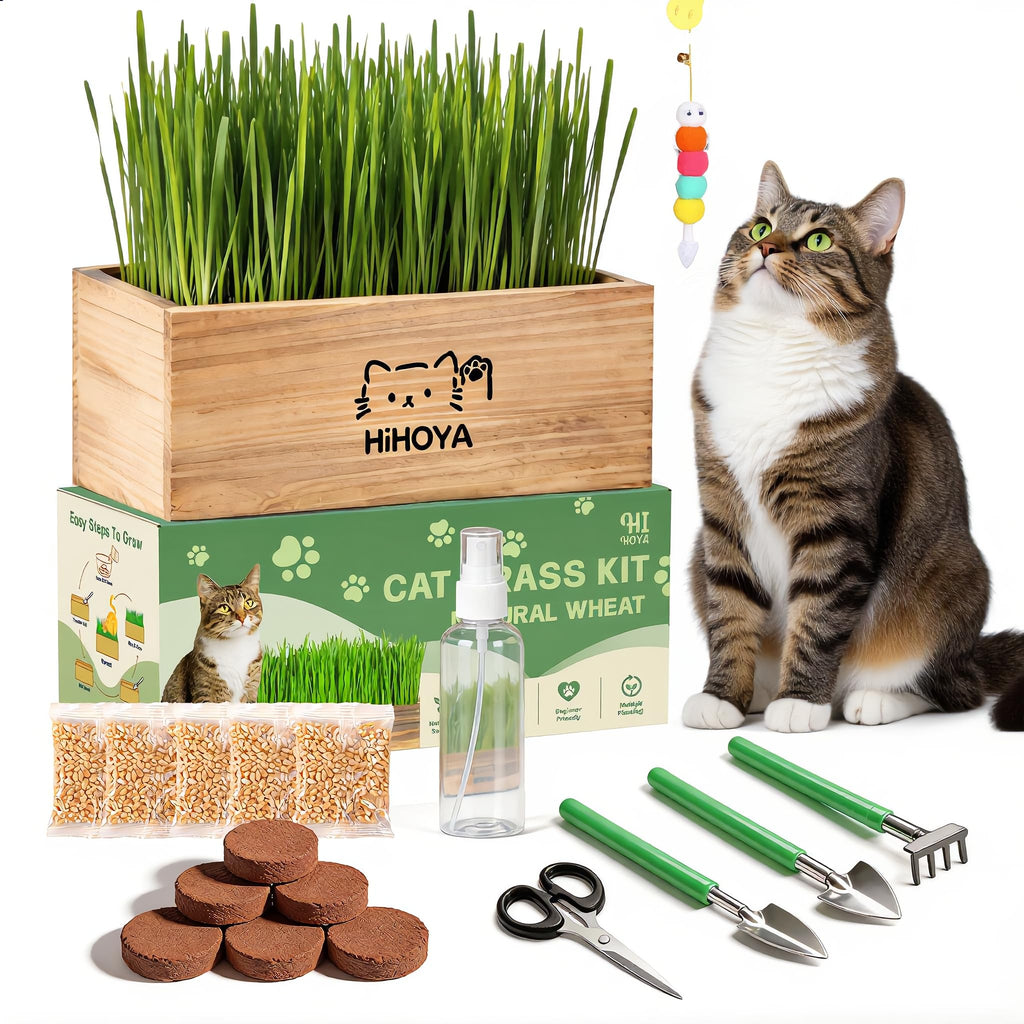 HiHOYA Cat Grass Kit for Indoor Cats - 5 Packets of Seeds, Cat Grass Planter Wooden Growing Kit, 5-Time Plant Starter Pack with 6 Soil Discs, Trimming Scissors, Spray Bottle, and Mini Tools