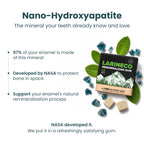 Larineco Remineralizing Gum with Nano Hydroxyapatite & Xylitol – Sugar-Free Xylitol Gum – Plastic-Free, Dye-Free, Aspartame-Free – Natural Base – 36 Pieces, Mastic Mint