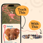 Fahlo Elephant Tracking Bracelet, White Howlite STE Edition