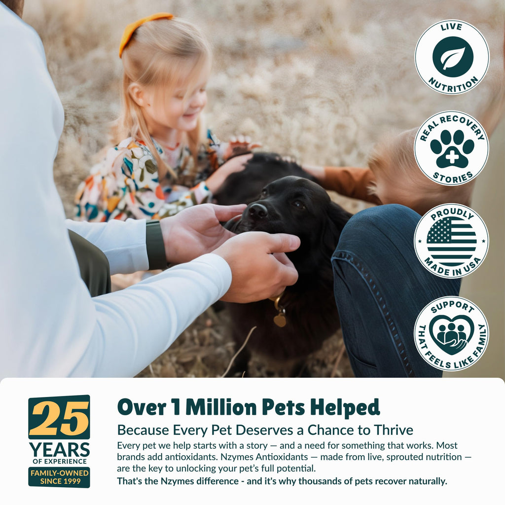 Nzymes® Antioxidant Treats - for Dogs Joints, HIPS, Paralysis, Skin, Coat, Hair Loss, Aging, Digestion, Neurological, Seizures - 60 Treats - Made in The USA
