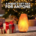 WBM LLC Himalayan Glow Natural Pink Salt Lamp, Crystal Salt Lamp Night Light with (ETL Certified) Brightness Control Dimmer Switch, Wooden Base & Salt Lamps Bulb | 6-8 LBS, Model Number: 1001