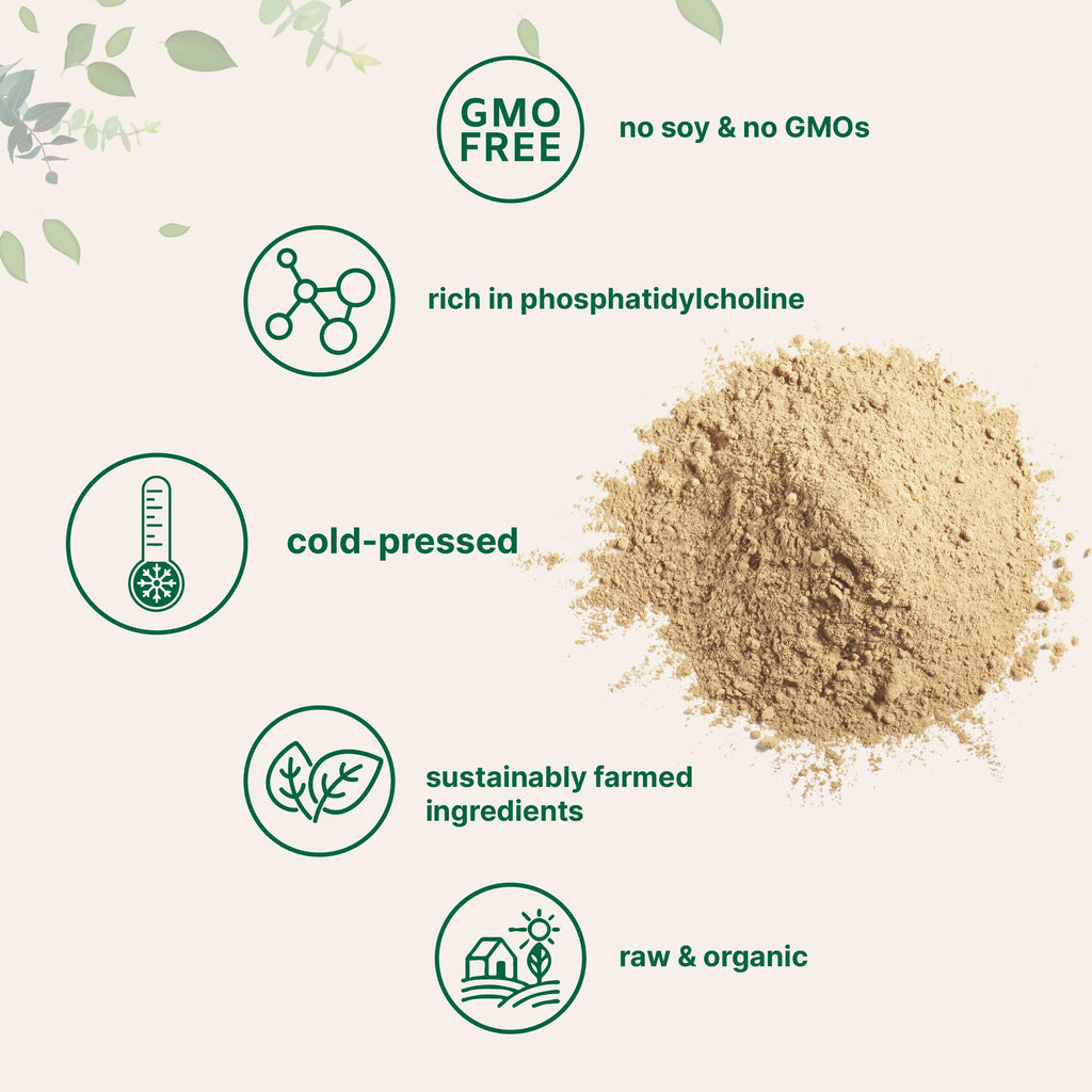 Organic Sunflower Lecithin Powder, 1 Pound, Sustainable Farmed, Cold Pressed, Rich in Phosphatidyl Choline and Protein, Making Liposomal Vitamin C, Lactation Supplement, Non-GMO