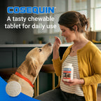 Nutramax Cosequin Joint Supplement for Dogs, Chewable Tablets, 132ct