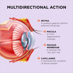 ZeaForce - Excellent Vision with 1 Capsule/Day. Concentrated Composition. Multidirectional Action. Liquid Formula for Complete Absorption and Faster Effect. Laboratory Tested. (3 Month Supply)
