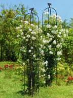 2PCS 6FT Obelisk Trellis for Climbing Plants, Kalolary Garden Tower Trellis