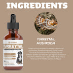 Turkey Tail Mushroom for Dogs | Helps to Boost The Immune System, is a Healthy Prebiotic, & Much More | Turkey Tail for Dogs | Mushrooms for Dogs | Dog Mushroom Supplements | 1 fl oz
