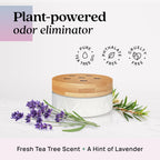 Azuna Home Odor Eliminator for Strong Odor | 2 Room Kit | Aromatherapy