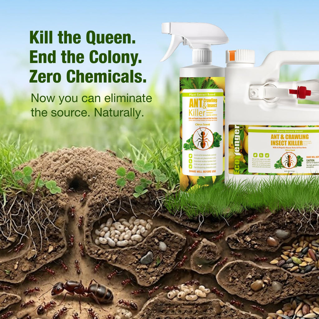 EcoVenger By EcoRaider Ant Killer & Crawling Insect Killer, 16 OZ Ready to Use, Indoor & Outdoor, Kills & Repels, Lasting Prevention, Natural & Non-Toxic Plant Based Formula, Pleasant Citrus Scent