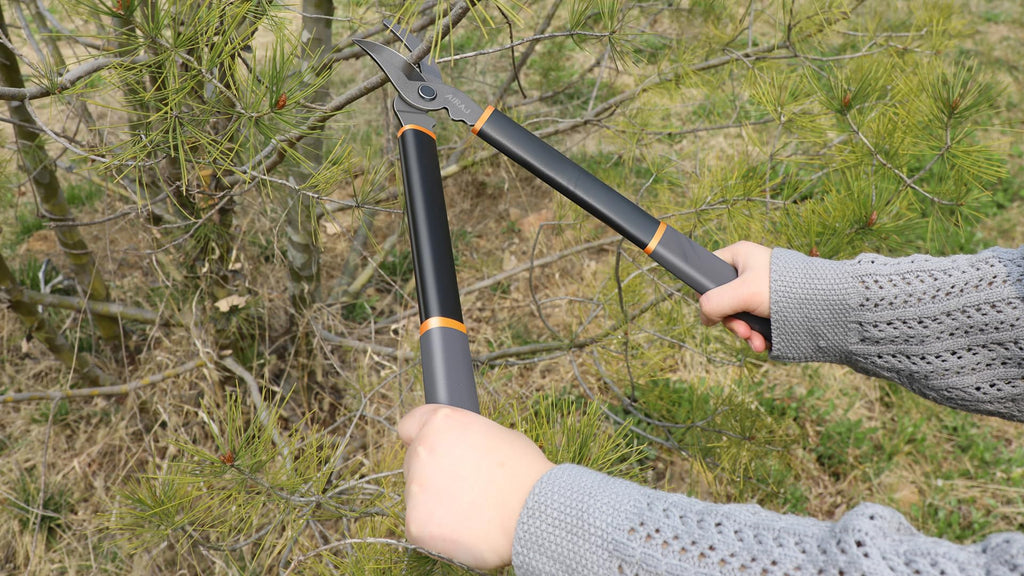 AIRAJ 17'' Bypass Loppers for Tree Trimming,Branch Cutter up to 1.6" Cut Capacity,Sharp Steel Tree Pruner,Chops Thick Branches with Ease,Tree Trimmer for Gardening