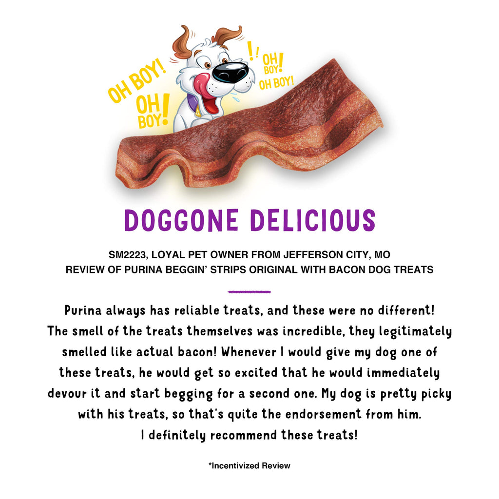 Purina Beggin' Strips Dog Treats, Original with Bacon, (2) 26 oz Pouches