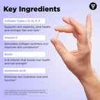 Vital Vitamins Multi Collagen Complex Plus - with Biotin, Hyaluronic Acid, Vitamin C - Type I, II, III, V, X - for Women & Men - Hair, Skin, Nails Beauty Complex - 150 Capsules