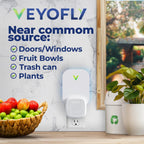 VEYOFLY Fruit Fly Traps for Indoors (2 Device + 4 Refills), Gnat Trap Indoor Plug in, Bug Traps, Flying Insect Trap, Gnat Traps for House Indoor, Fly Trap Indoor for Home Bug Light, Gnats Catcher