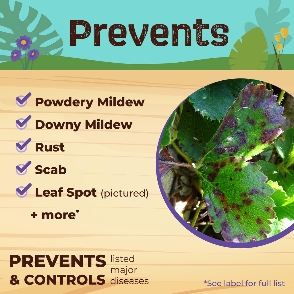 Bonide Captain Jack's Neem Max, 128 oz Ready-to-Use Spray