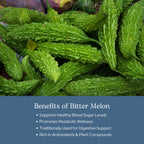 Eclectic Herb - Bitter Melon Capsules | Digestion & Immune Support Supplement | Overall Wellness Support | US-Grown, Vegan, Non-GMO, Gluten Free (90 CT | 200 mg)