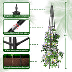 Hsundries 6FT Obelisk Trellis for Climbing Plants Outdoor, 16mm Rust-Proof Extra Thickened Plastic-Coated Metal Pipes, Indoor Climbing Support for Potted Plants, Vines, Flowers Stands,Black