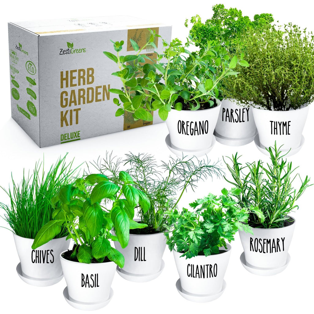 Herb Garden Starter Kit - 8 USA Culinary Herbs