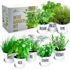 Herb Garden Starter Kit - 8 USA Culinary Herbs