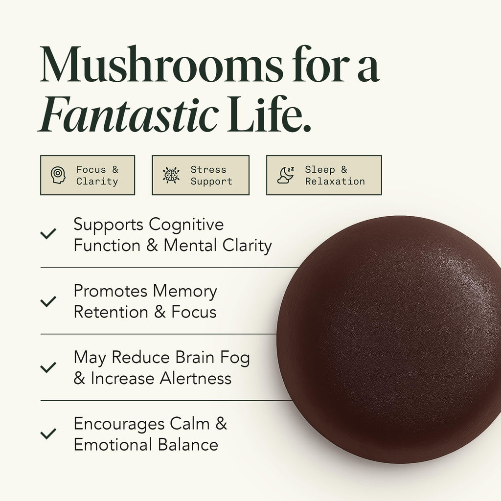 Fantastic Fungi Organic Mushroom Gummies for Focus & Memory, Lions Mane, Choline & Ashwagandha Gummies for Adults | Vegan, Sweet & Sour Flavor | 1 Month Supply | 60 Gummy Chewables