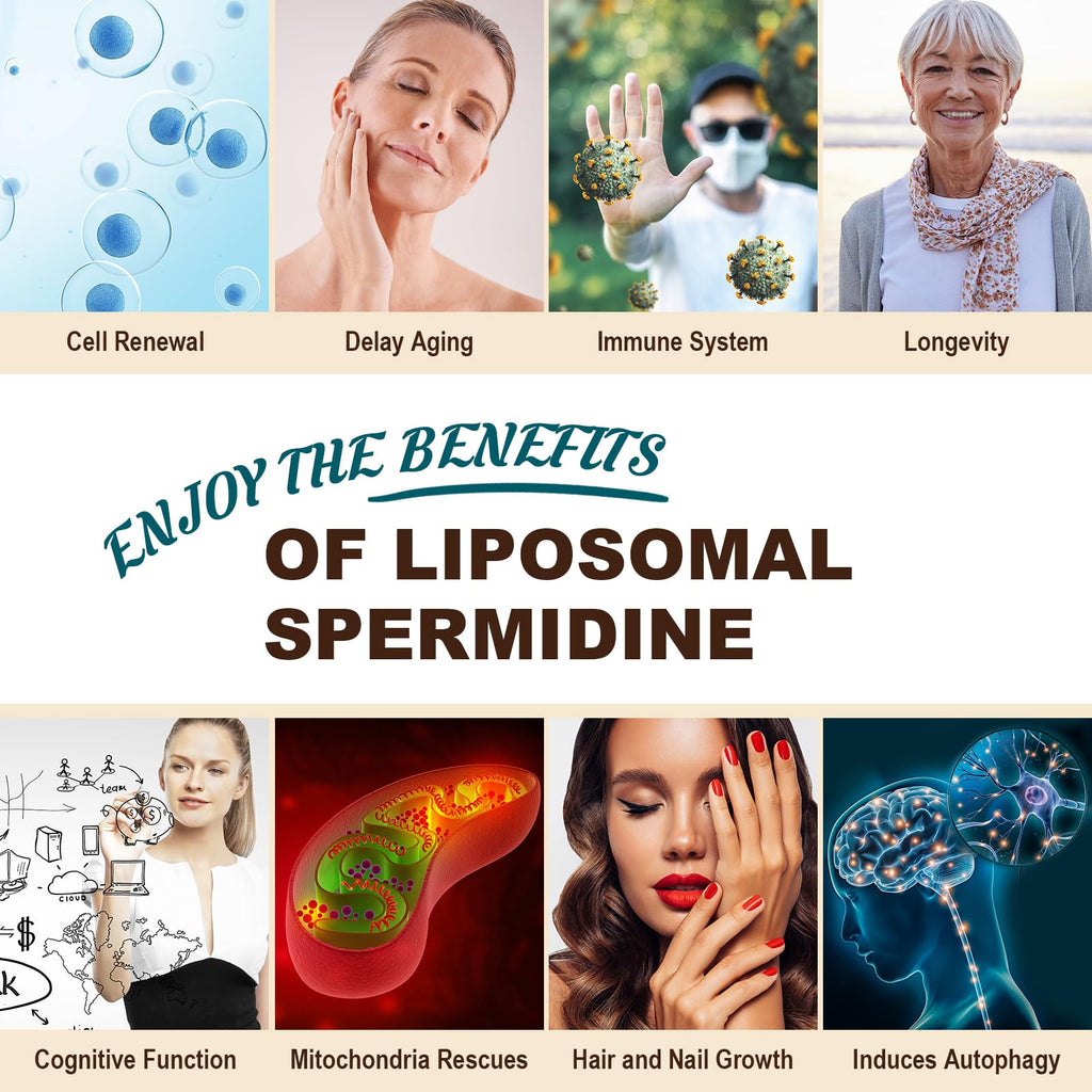 Spermidine Supplement 15 MG - 99% Purity, High Absorption, 1500 MG Fermented Wheat Germ Extract with Zinc & Thiamin, Spermidine for Men & Women - Cellular Renewal, Aging Defense, Energy, 60 Softgels