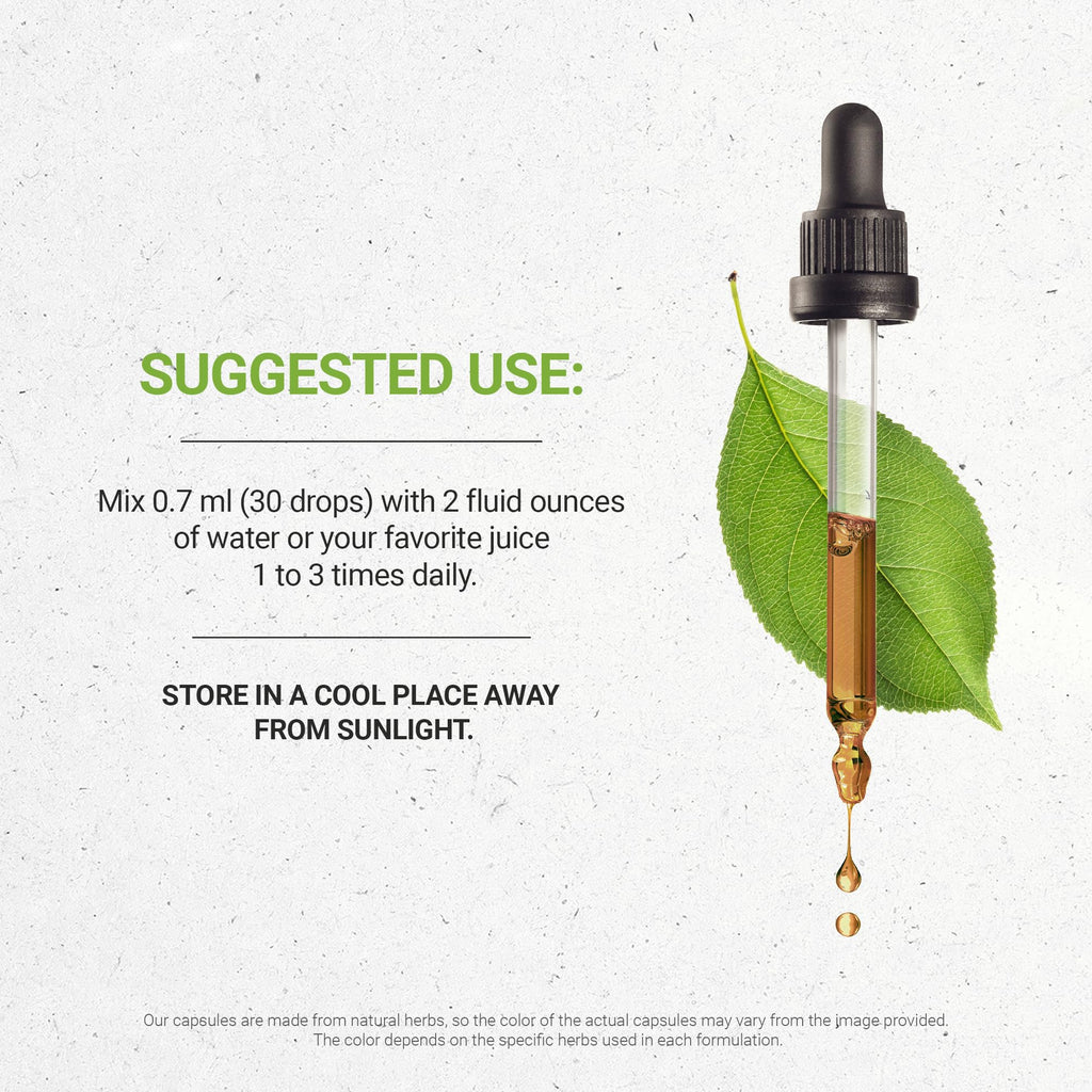 Secrets of the Tribe Mistletoe USDA Organic | Alcohol-Free Extract, High-Potency Herbal Drops | Made from 100% Certified Organic Mistletoe (Viscum Album) Dried Herb (2 oz)