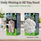 Organic Mushroom Growing Kit, Lion's Mane Mushroom Grow Kit with All Accessories, Grow Fresh Edible Mushrooms Indoor, USDA Certified Organic, Non-GMO, Easy to Grow at Home