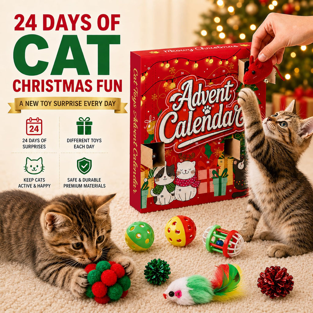 Cat Advent Calendar 2026, 24 Days Assorted Interactive Toys for Indoor Cats