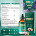 21-in-1 Lymphatic Drainage Drops for Liposomal, Immune & Lymph System Support Supplement for Women & Men with Echinacea, Dandelion, Burdock, Bromelain, Calendula, Turmeric & More, 4 Pack