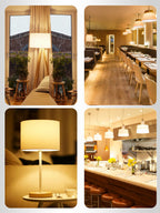12 Pack LED Light Bulbs 100 Watt Equivalent, A19 Soft Warm White 2700K