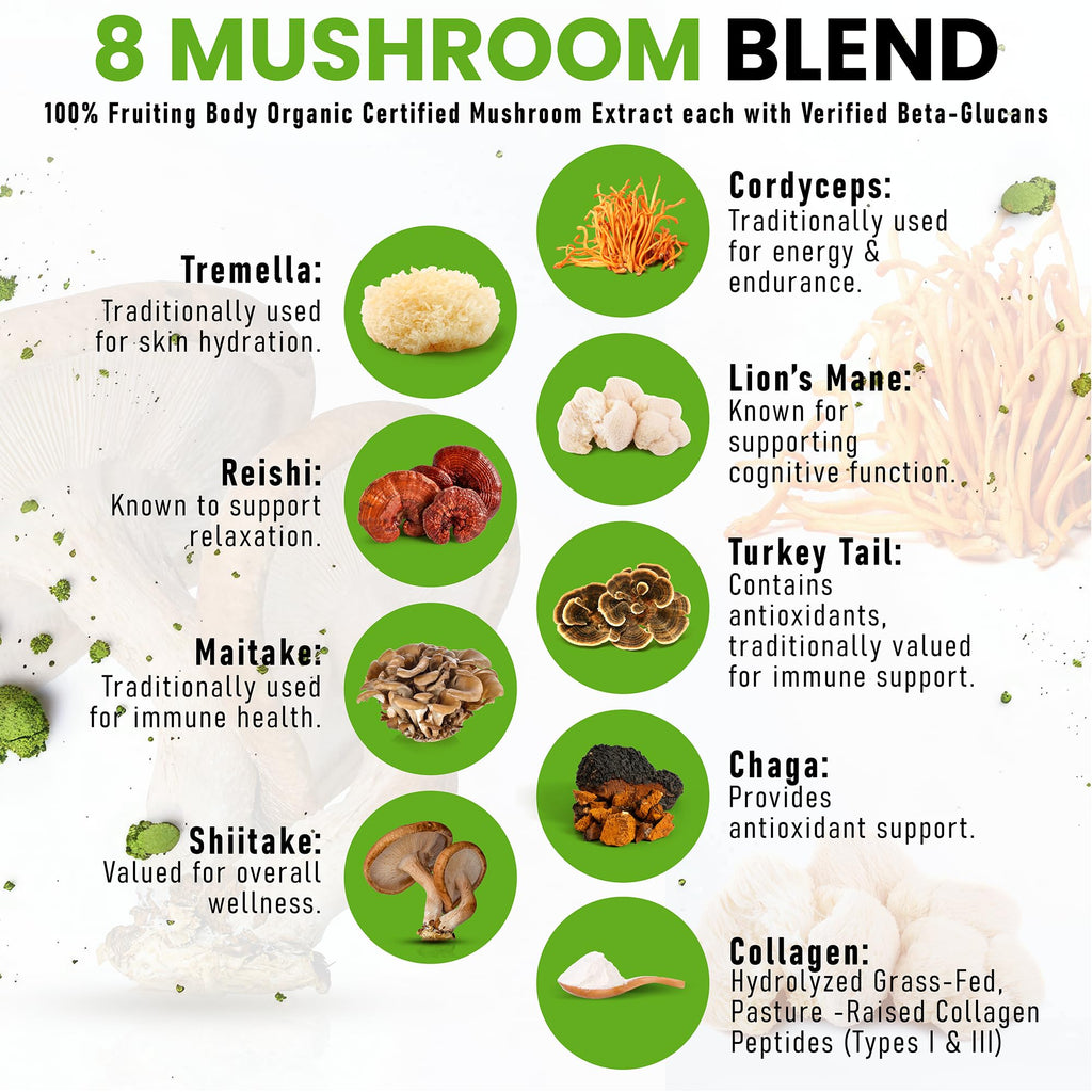 PowderVitamin Organic Ceremonial Mushroom Matcha Certified Pesticide-Free Grass-Fed Collagen Types I & III 8 Fruiting Body Mushrooms Tested for Beta-Glucans Focus Digestion & Immunity 30 Servings