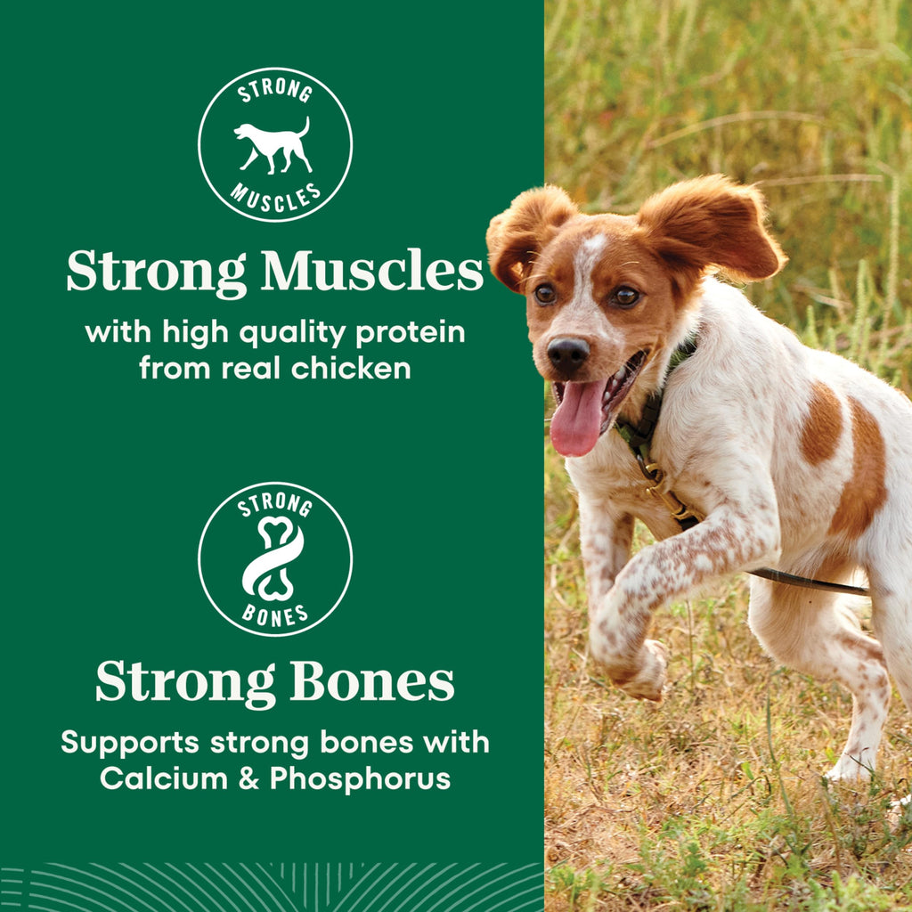Nutro Natural Choice Small Breed Dry Dog Food, Chicken & Rice, 5 lb