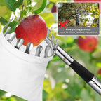 Fruit Picker Pole with Basket Telescoping, 11.5FT Fruits Picker Tool
