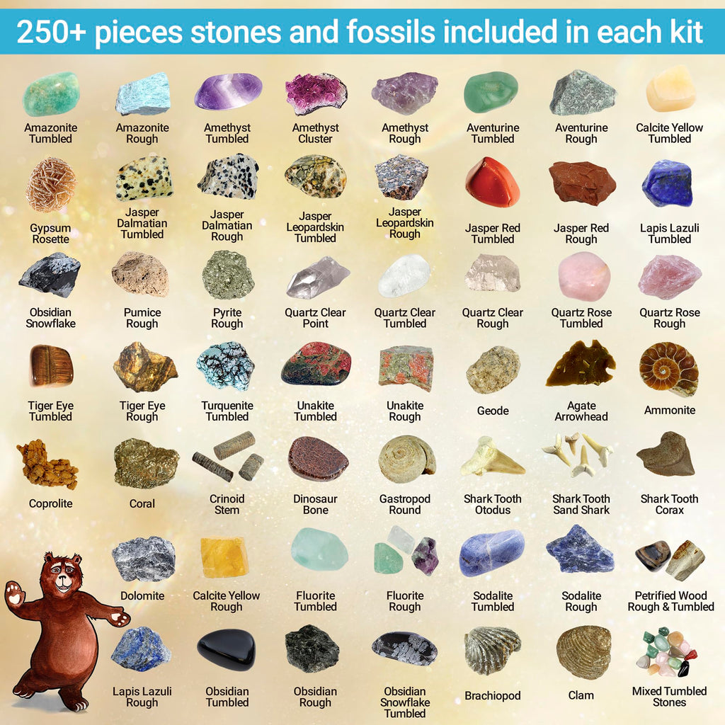 DANCING BEAR Rock, Mineral & Geodes Treasure Hunt Activity Kit (250 Pc Set) Real Shark Teeth Fossils, ID Sheet & Rock Book, STEM