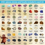 DANCING BEAR Rock, Mineral & Geodes Treasure Hunt Activity Kit (250 Pc Set) Real Shark Teeth Fossils, ID Sheet & Rock Book, STEM