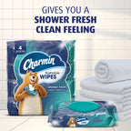 Charmin Flushable Wipes, 160 Total Wipes 40 Count (Pack of 24)