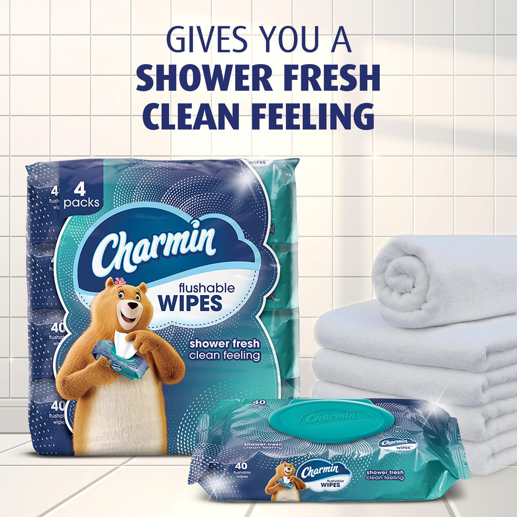 Charmin Flushable Wipes, 960 Total Wipes, 40 Count (Pack of 24)