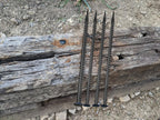16" Galvanized Rebar Stakes 6 Pack,1/2" Diameter Heavy Duty Ground Anchors