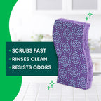 Scotch-Brite Odor Resist Non-Scratch Scrub Sponge, Dishwasher-Safe Kitchen Sponges that Resist Bacterial Odors, Multipurpose Dish Sponge for Gentle Cleaning, 6 Dish Sponges