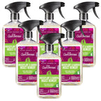 Aunt Fannie’s Houseplant & Garden Insect Remedy, Indoor and Outdoor Plant Insect Killer (6-Pack)