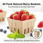 40 Pack Natural Pulp Fiber Berry Basket,Small Molded Produce Vented Basket