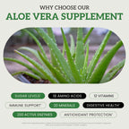Aloe Vera Supplement | Made with Organic Ingredients | RAW All Natural | Non-GMO