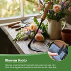 Blossom Buddy Cape Cod Weeder – Right Hand, Hand Weeding Tool for Tight Spaces Weeder Hoe with Ergonomic Ash Wood Handle for Weeding, Soil loosening, Digging