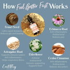 Earthley Wellness Feel Better Fast, All-Natural Relief for Minor Ailments, Organic Herbal Formula, Supports Immune & Digestive Health, Echinacea Root and More, 6 Month Supply (1.69oz Glass, 500 doses)