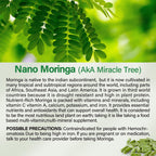 Bcuelov Moringa Capsules | 800mg Pure Moringa Powder Capsules – Supports Energy, Skin & Gut Health, Immune System – Green Superfood with Vitamins & Amino Acids (90 Caps)
