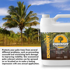 Endurant Palm Colorant – Non-Toxic Palm Tree Protector - Enhances Natural Beauty - Prevents Sunscald & Bark Damage -Easy Annual Application - Vibrant Long-Lasting Trunk Care - 32 oz