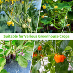 RUNWUSHENG Plant Pollination Tool - USB Rechargeable Vibrating Pollinator for Greenhouse Crops Like Tomatoes and Strawberries