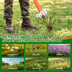 RexWeed Stand Up Weed Puller Tool, 4-Claw Steel Head Deep Root Extractor with Dual-Eject Design, Real Bamboo Long Handle & Metal Anti-Slip Pedal, No Bending Dandelion Remover for Garden Lawn Yard